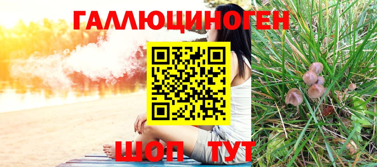 Галлюциногенные грибы Cubensis  Вход с VPN  Галлюциногенные грибы GOLDEN TEACHER  продажа наркотиков  Ленинск-Кузнецкий 