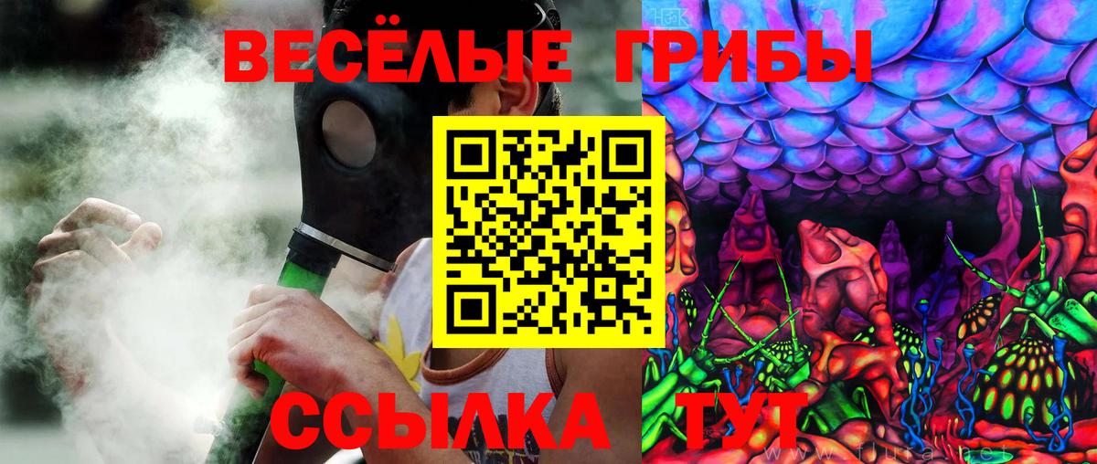 Псилоцибиновые грибы ЛСД Ленинск-Кузнецкий